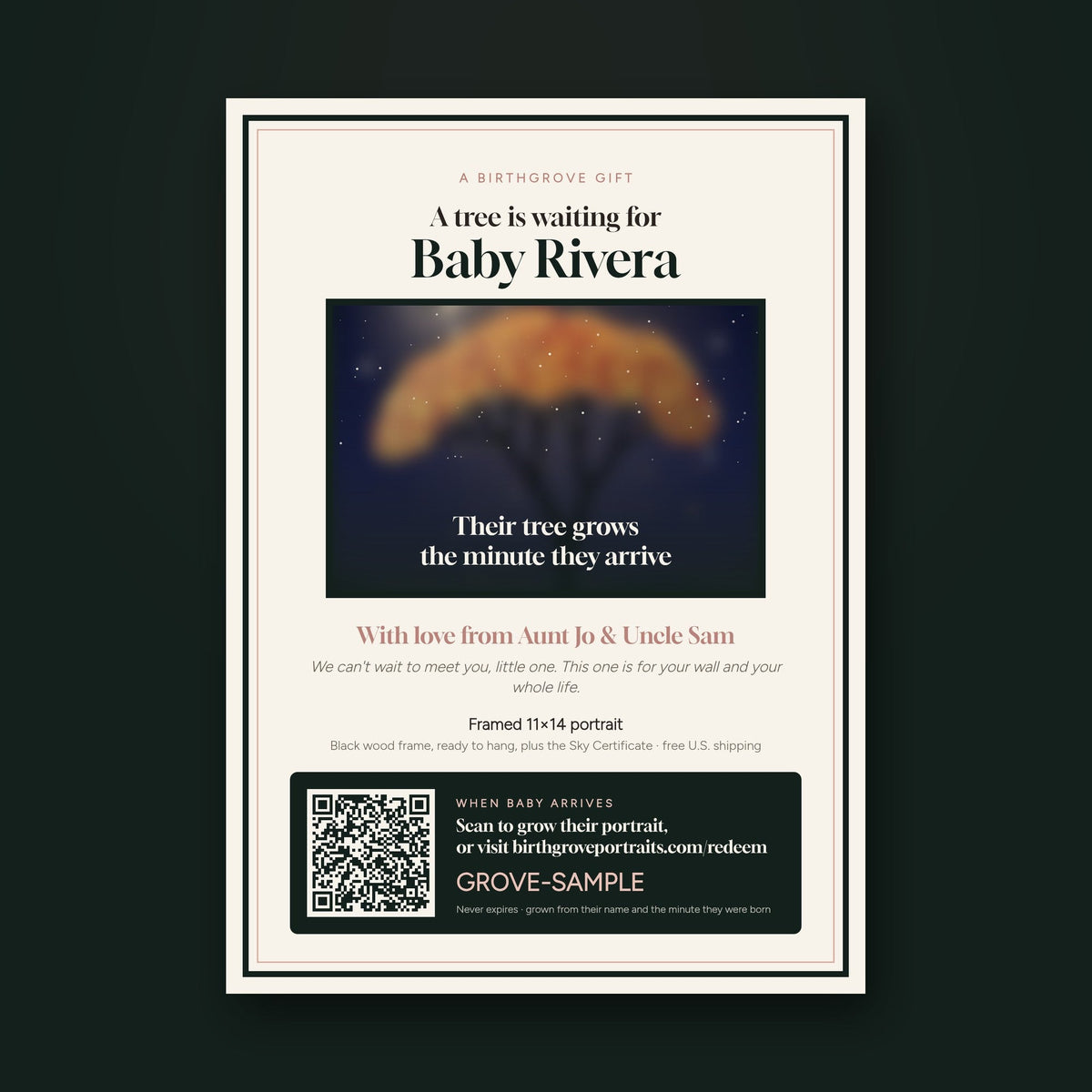 A Birthgrove gift certificate: A tree is waiting for Baby Rivera
